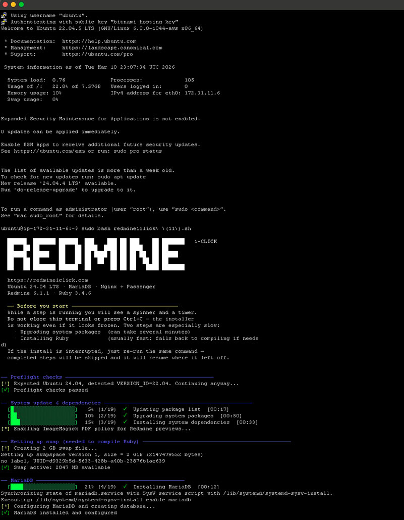 Installer running on Ubuntu — progress bars, preflight checks, and system update phase